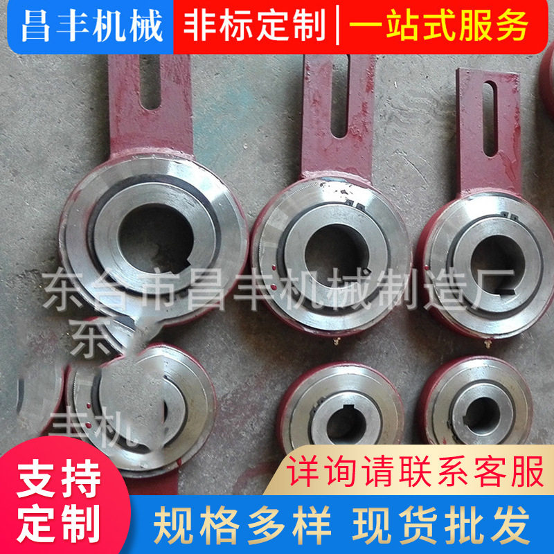 厂家供应提升机倒转止逆器