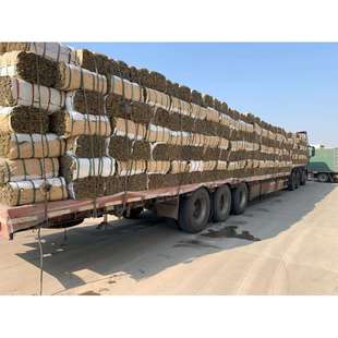 粽叶50斤大包装端午节竹叶麻竹叶黄粑叶箬叶廖叶清香粽叶