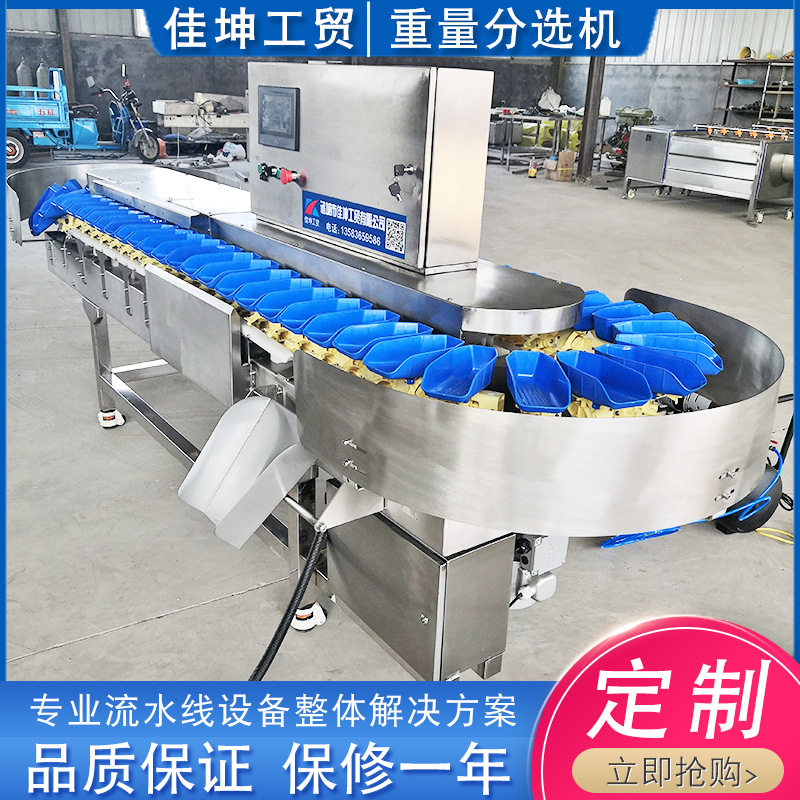 大虾重量分选机 全自动土豆分级设备 洋葱称重量分拣流水线