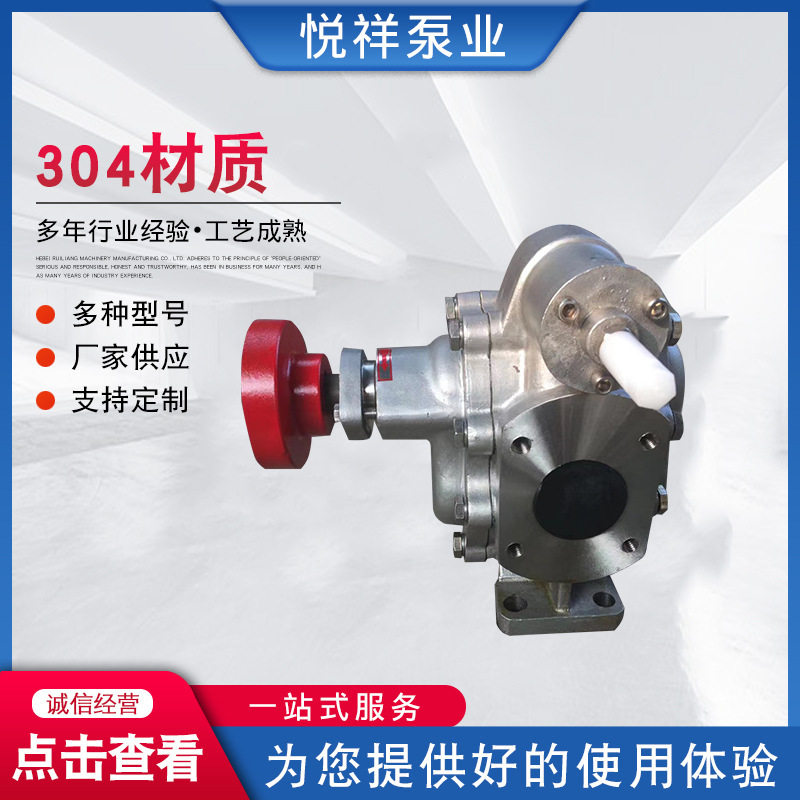 齿轮泵 不锈钢304材质 耐腐蚀齿轮泵  KCB-200 2CY12/0.36图片