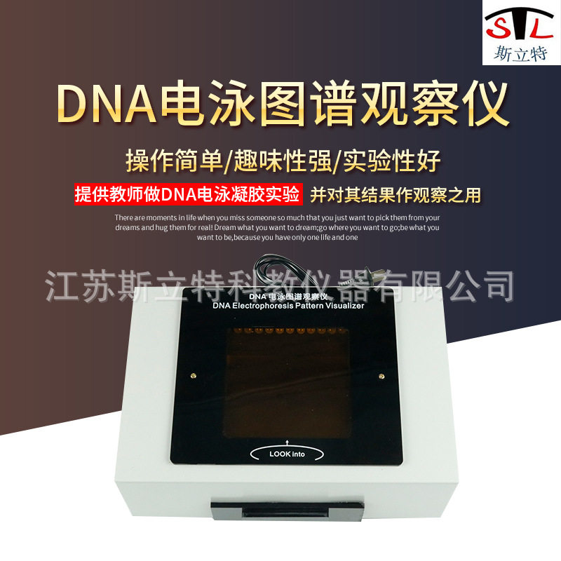 27028 DNA电泳图谱观察仪 物理中学实物观察器 实验室演示学器材