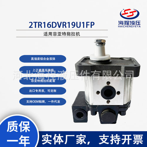 菲亚特FIAT2TR16DVR19U1FP