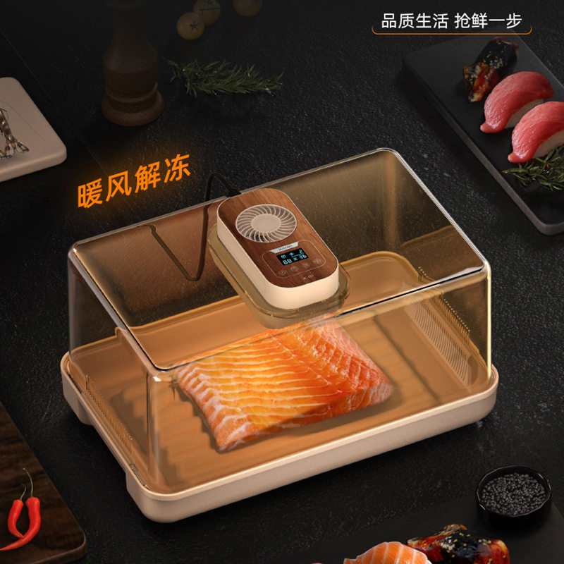 厂家直销暖风快速解冻器牛排家禽肉类海鲜杀菌化冻多功能解冻盒