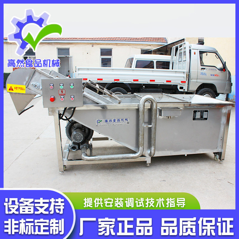 厂家供应瓜果菜蔬气泡清洗机白菜气泡清洗机清洗机不锈钢材质