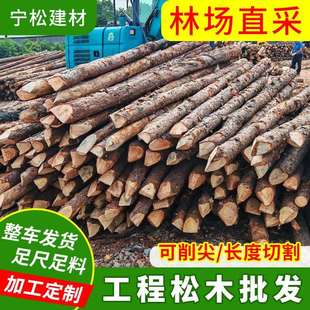 湖南林场直发松木桩原木桩河道加固工程建筑多规格围堰防汛木桩