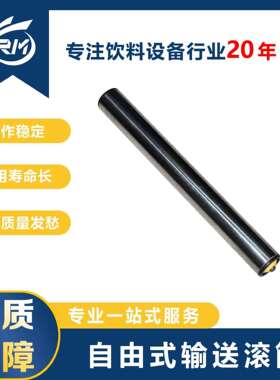 自由式输送滚筒/FCZ.50.15.C-12-3(AGL=465)