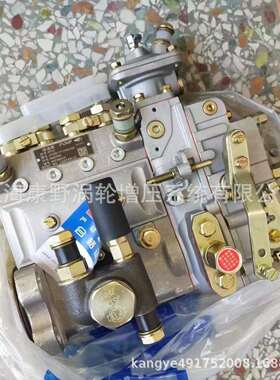 原装喷油泵A7GA1B4AD76E1和B8710-1111100-493和D0702B4AD76B