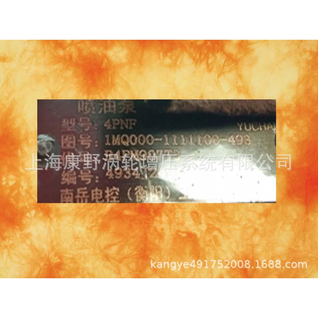 喷油泵1MQ000-1111100-493B4PM907T3和B6A29CBHT6A95R029C1696