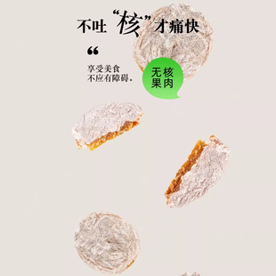无核日式梅饼陈皮话梅肉干酸甜梅子果干蜜饯零食梅饼无核陈皮梅饼