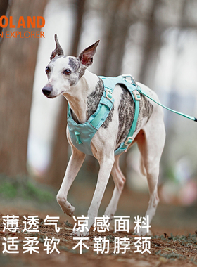 ZOOLAND狗狗胸背带背心式牵引绳小中大型犬嗨轻工字宠物遛狗绳子