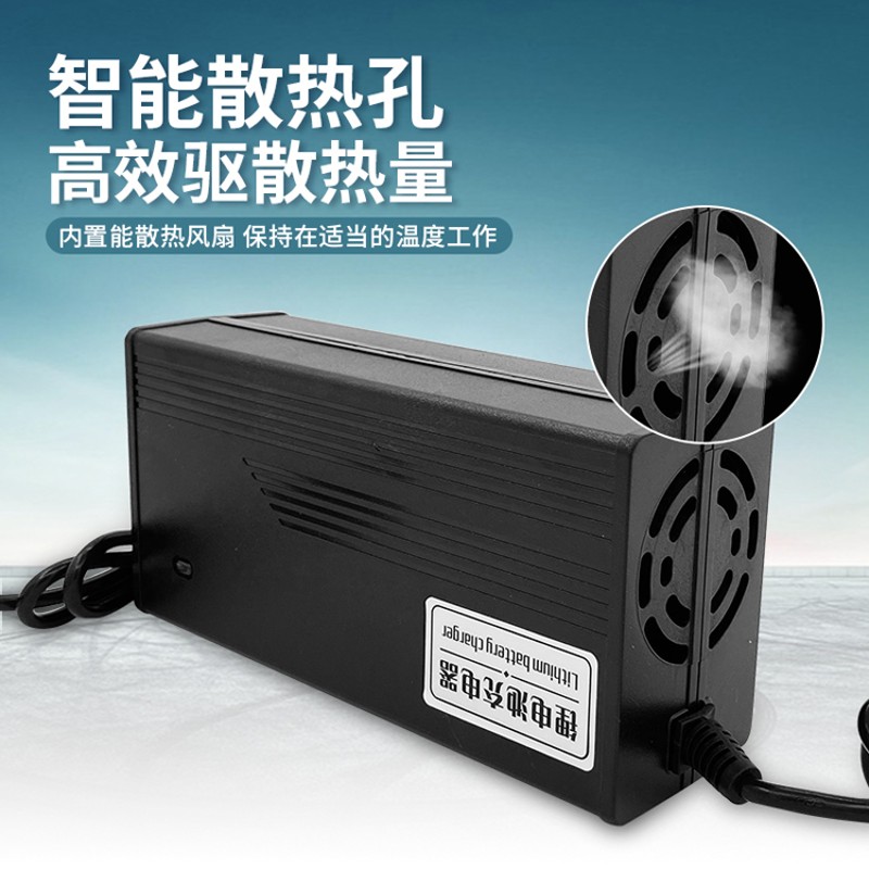 7串3.7v三元聚合物锂离电池电动车充冲电器24V伏29.4V2AV5A10安