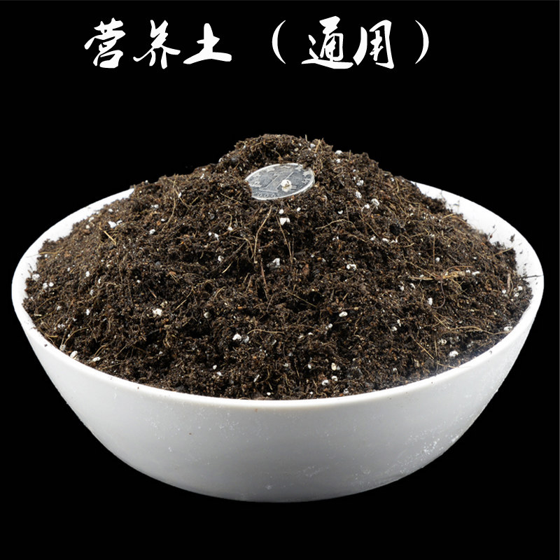 服盆发根超快有机通用颗粒营养土多肉绿植花卉园艺换盆种植泥炭土,鲜花速递/花卉仿真/绿植园艺,介质/营养土,淘宝优惠券,粉丝福利购,淘宝优惠卷