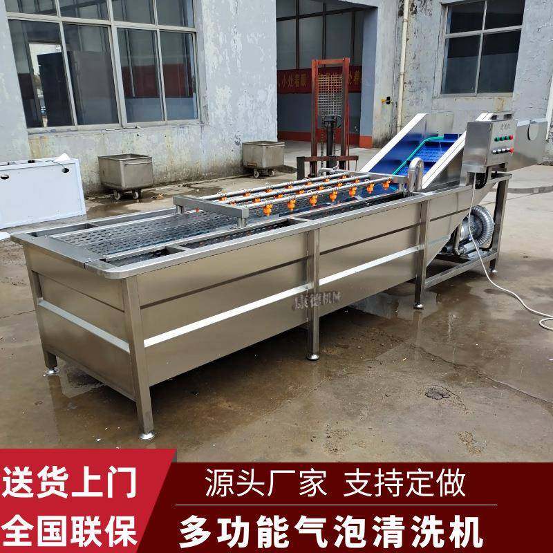 桑叶全自动气泡清洗机豆芽菜清洗设备中药材丹参去泥沙清洗机,清洗/食品/商业设备,其他食品加工设备,淘宝优惠券,粉丝福利购,淘宝优惠卷