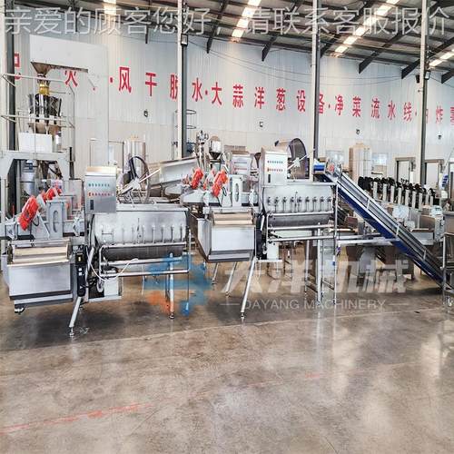 全自动涡洗流清洗机涡流式线蔬菜清洗旋流式ZFW菜清设备樱桃清洗