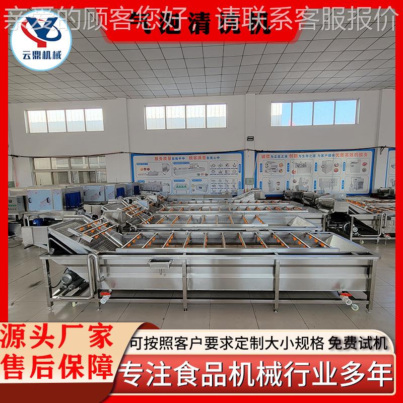 杨梅荔枝器清洗 商WSA用樱桃机桑葚气清洗机 全自动水循环泡清洗