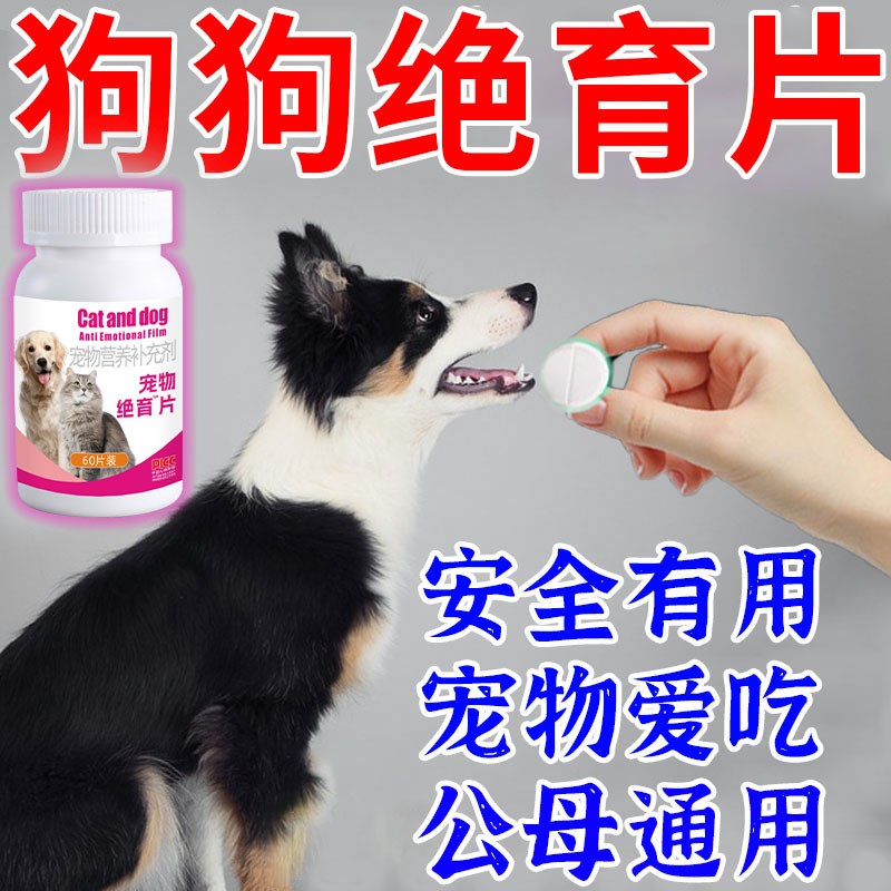【不开刀】狗狗绝育 永久性犬用绝育药狗用品大全防止狗发情乱爬