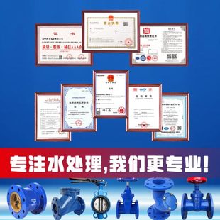 花篮头莲蓬头底阀 插管底阀止回阀单向阀碳钢水泵抽水吸水阀升降式