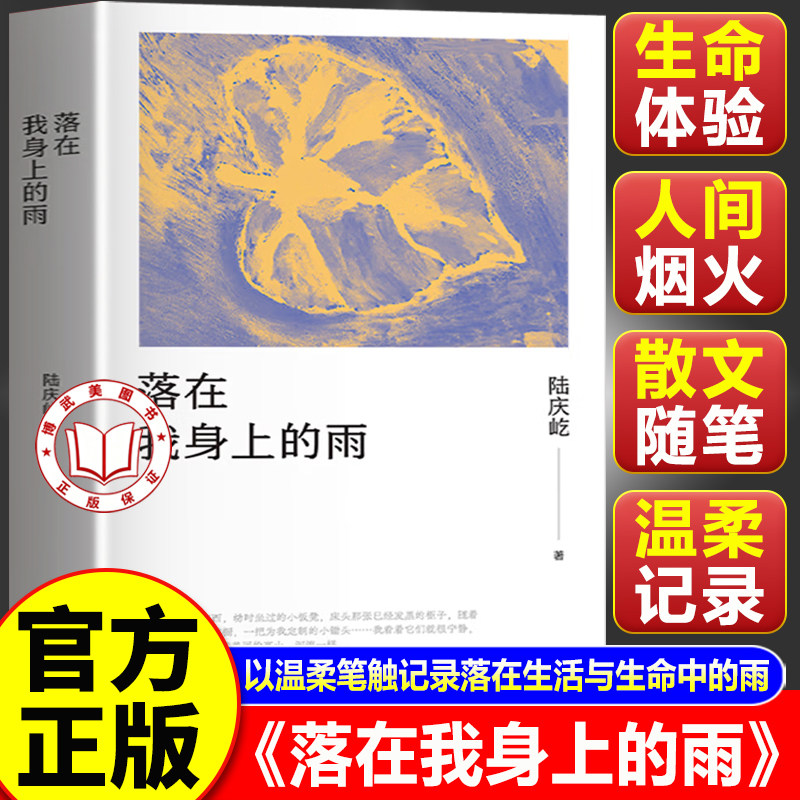 【官方正版】落在我身上的雨 陆庆屹新作 温柔又辽阔的浮生手记 书写跨越余生的重逢