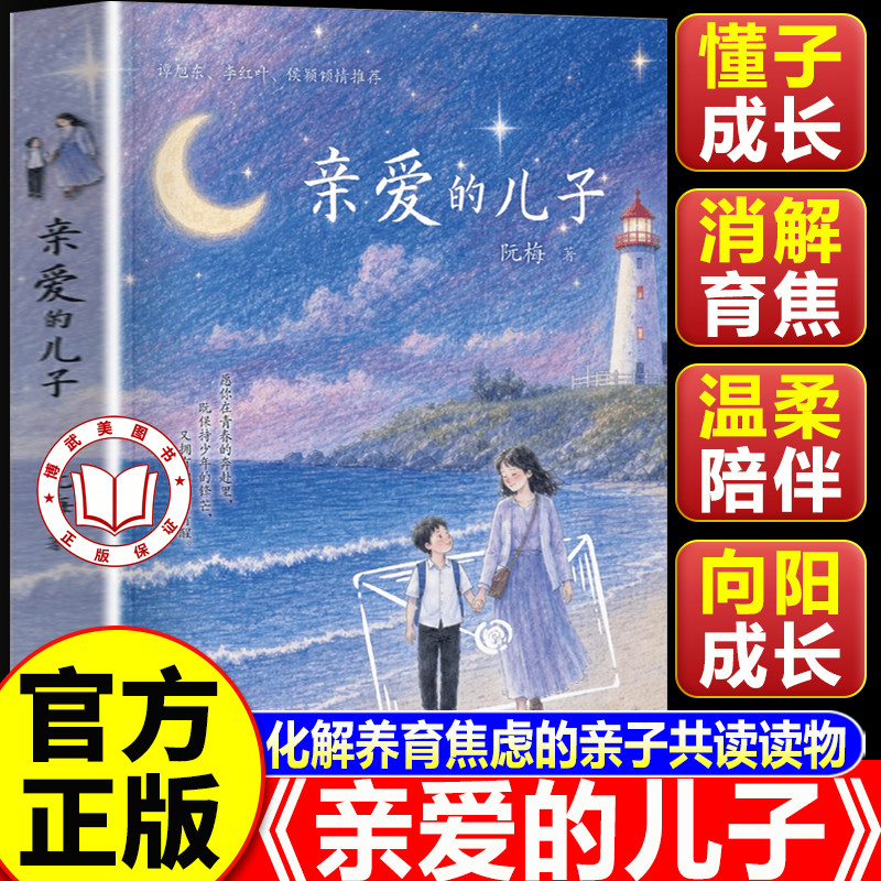 【认准正版】亲爱的儿子 阮梅重磅新作 给儿子的十七封信关于勇气责任与成长