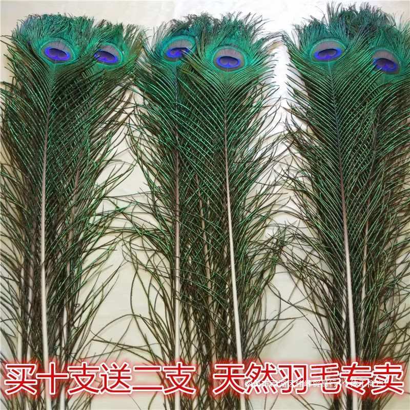 家居饰品摆件孔雀羽毛真孔雀毛花瓶装饰品孔雀翎尾婚庆羽毛