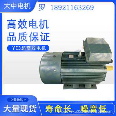 江苏大中电机YE3/YE4/YE5三级一级能效三相异步电动机45KW/55KW