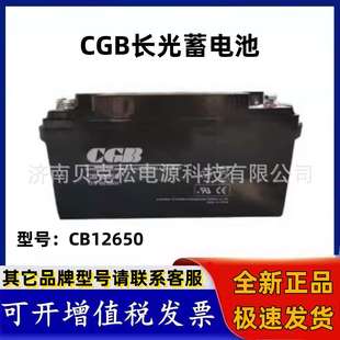 CB121000电力光伏系统12v65a100a铅酸UPS电源 长光蓄电池CB12650