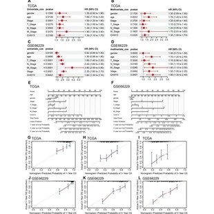 Python代编医学图像分割深度学习语义分割计算机视觉生成对抗网络