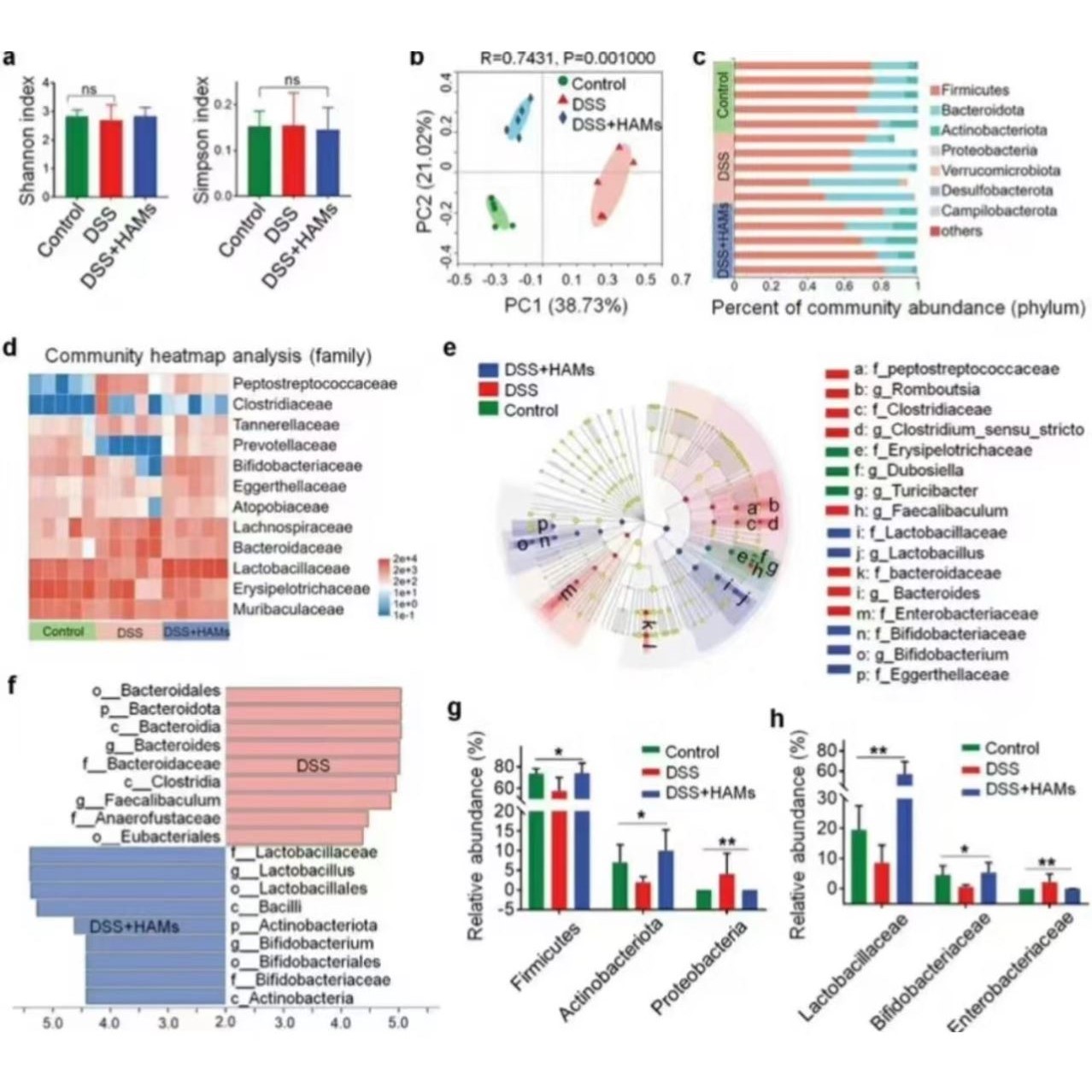 GEO,TCGA数据库挖掘,差异基因分析,火山图热图,网络药理学