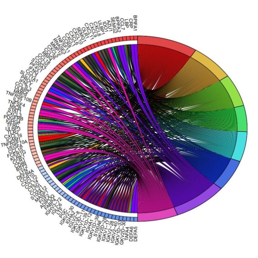 TCGA数据库免疫基因预后(免疫治疗/生存分析/WGCNA共表达网络)