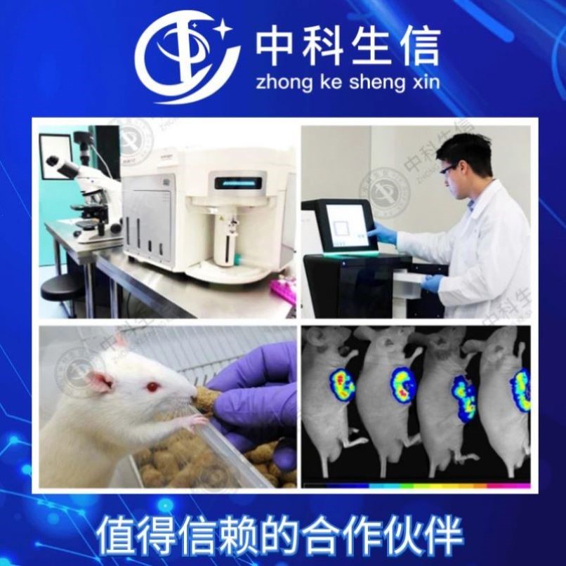 1-9分定制服务生信分析基因组分析单细胞测序孟德尔随机化