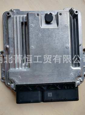 发动机控制器0281020446