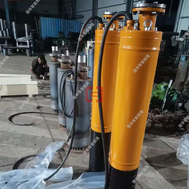 国华智能潜水污水泵 可靠耐用WQX型下吸式污水潜水电泵