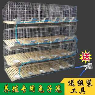 加粗加大12位24位养殖场专用兔笼子母种兔笼大号家用养殖兔笼兔舍