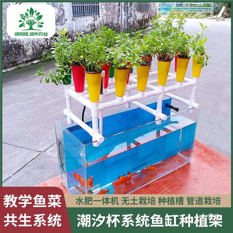 绿阳庭家庭鱼菜共生阳台鱼菜共生系统设备鱼缸种植架潮汐种植系统