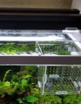 T5HO太阳神HELLOS浪峰郎峰T5水草灯造景照明鱼缸单管灯架非LED灯