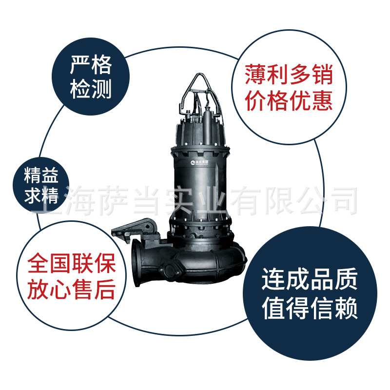 上海连成水泵100WQ80-40 200WQ300-13立式排污泵 管道污水提升泵