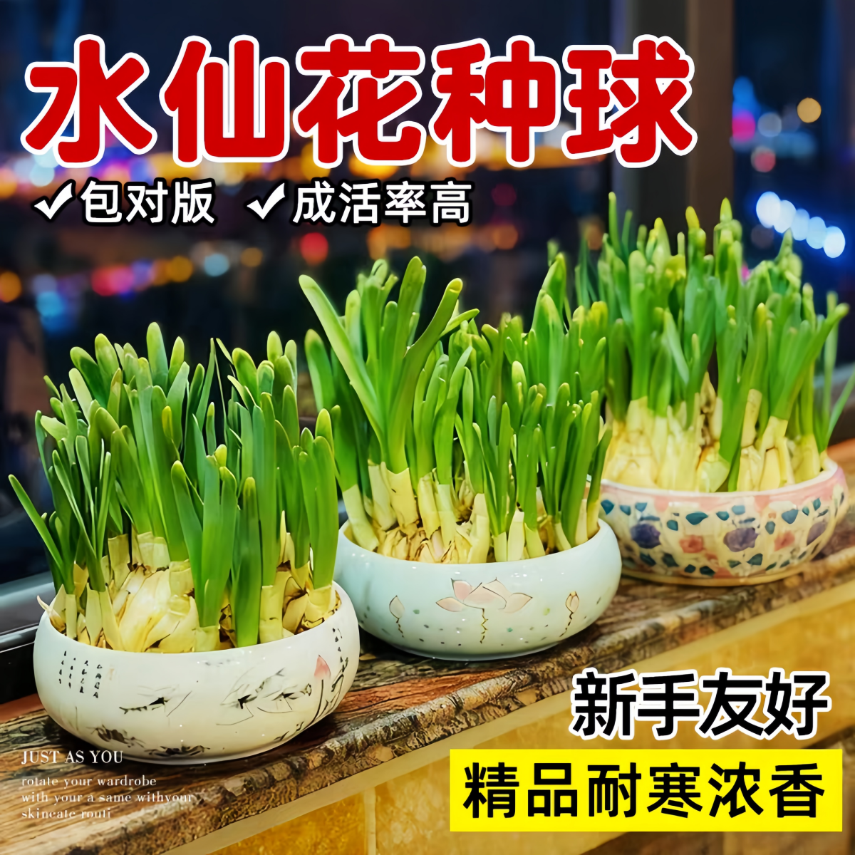 水仙花种球漳州重瓣水养盆栽冬季开花卉植物室内种子绿植水培好养,鲜花速递/花卉仿真/绿植园艺,时令草本花卉,淘宝优惠券,粉丝福利购,淘宝优惠卷