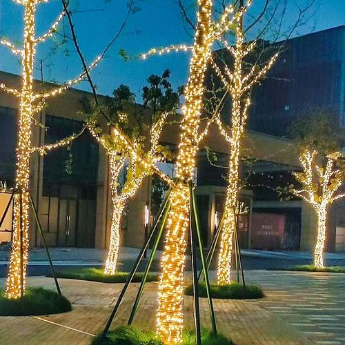 LED彩灯闪灯串灯满天星灯串户外防水露营亮化新年氛围 挂树装饰灯