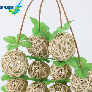 宠儿新家草莓串藤球鸟玩具鹦鹉玩具用品鹦鹉秋千鸟笼玩具攀爬W39