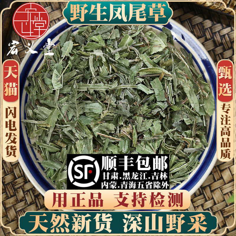 凤尾草500克野生凤尾草中草药鸡脚草金鸡尾井边凤尾五指草材