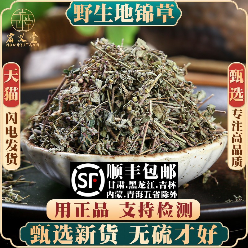 野生地锦草材500克/250g斑地锦草花盖地血见愁红丝草奶汁浆草