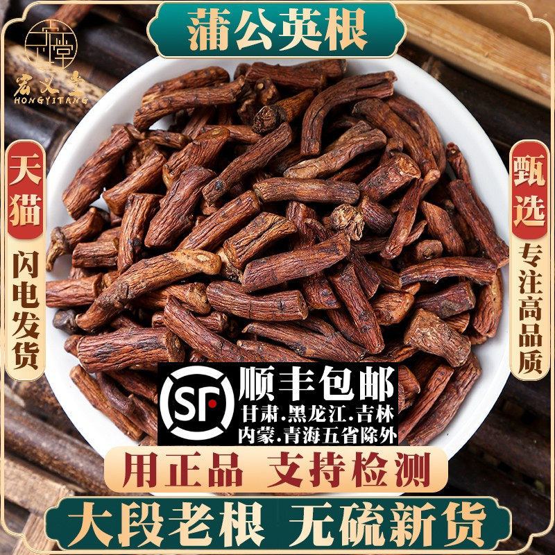 野生蒲公英根500g材蒲公英根另售菊苣根泡茶泡水