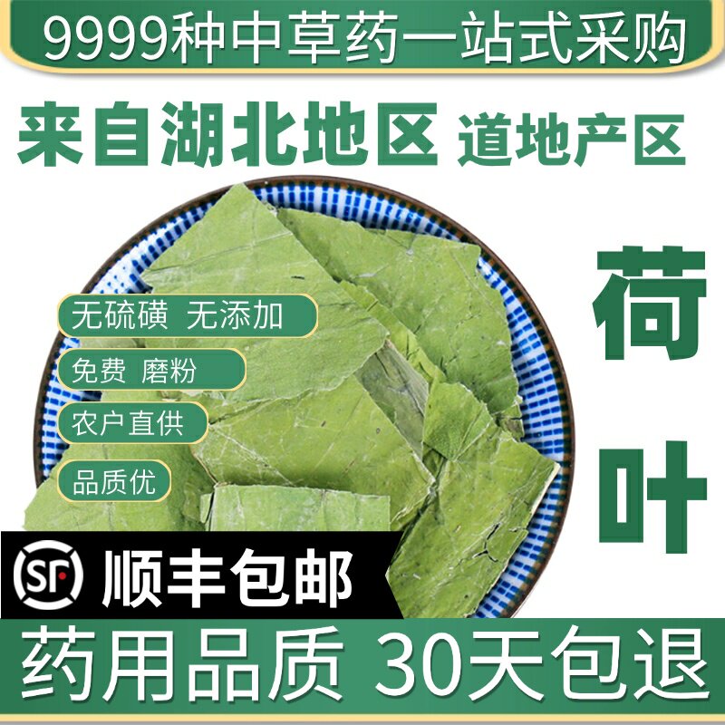 材野生荷叶片新鲜荷叶荷叶干片泡茶荷叶块特级荷叶茶新货50g