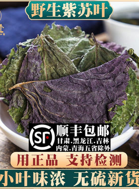 野生紫苏叶250g天然苏子叶干泡茶烧鱼虾蟹去腥香料泡茶材