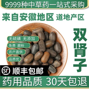 野生双肾子石莲子草药材龙凤籽子特级果50克可配阴阳子泡酒