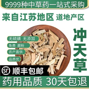 材特级野生水葱冲天草苻蓠 莞蒲 夫蓠 葱蒲 莞草 水丈葱50克