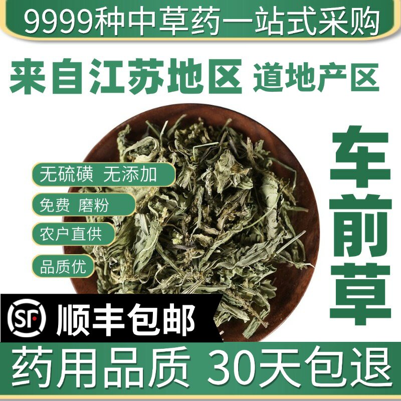 材特级野生车前草50g水洗车前草新鲜干货猪耳朵秧车茶草平