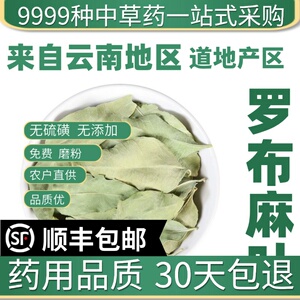 材店铺特级野生罗布麻叶 新疆罗布麻 新货 泡茶泡水50克