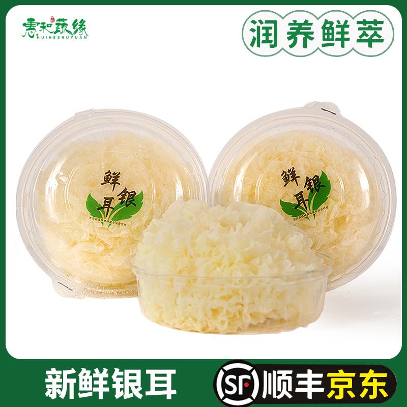 新鲜银耳活鲜白木耳非干货银耳糯丑雪耳莲子羹材料鲜糯耳3盒包邮