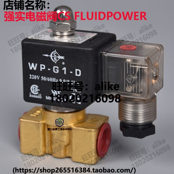 CS强实电磁阀线圈WP-G1-D